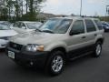 2005 Gold Ash Metallic Ford Escape XLT V6 4WD  photo #1