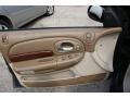 Agate Door Panel Photo for 2000 Chrysler LHS #53175878