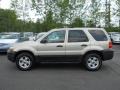 2005 Gold Ash Metallic Ford Escape XLT V6 4WD  photo #12