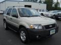 2005 Gold Ash Metallic Ford Escape XLT V6 4WD  photo #15