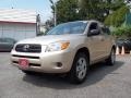 Savannah Metallic - RAV4 4WD Photo No. 4