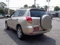 Savannah Metallic - RAV4 4WD Photo No. 5