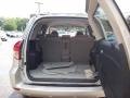 Savannah Metallic - RAV4 4WD Photo No. 9