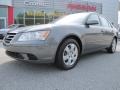 Willow Gray - Sonata GLS Photo No. 1