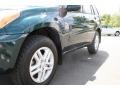 Rainforest Green Pearl - RAV4 4WD Photo No. 25