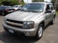 Light Pewter Metallic - TrailBlazer LS 4x4 Photo No. 1