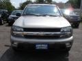 Light Pewter Metallic - TrailBlazer LS 4x4 Photo No. 2