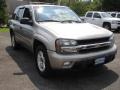 Light Pewter Metallic - TrailBlazer LS 4x4 Photo No. 3