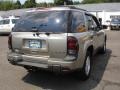 Light Pewter Metallic - TrailBlazer LS 4x4 Photo No. 4