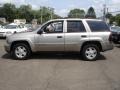 Light Pewter Metallic - TrailBlazer LS 4x4 Photo No. 9