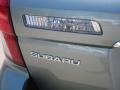 2009 Seacrest Green Metallic Subaru Outback 2.5i Special Edition Wagon  photo #18