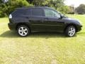 Black Onyx - RX 330 AWD Photo No. 14