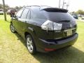 Black Onyx - RX 330 AWD Photo No. 17