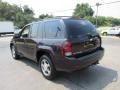 2008 Dark Cherry Metallic Chevrolet TrailBlazer LT 4x4  photo #8