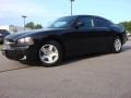 Brilliant Black Crystal Pearl - Charger  Photo No. 2