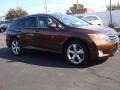 Sunset Bronze Mica - Venza V6 AWD Photo No. 2