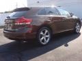 Sunset Bronze Mica - Venza V6 AWD Photo No. 3