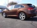 2009 Sunset Bronze Mica Toyota Venza V6 AWD  photo #4