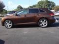 Sunset Bronze Mica - Venza V6 AWD Photo No. 5