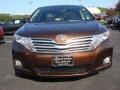 Sunset Bronze Mica - Venza V6 AWD Photo No. 7