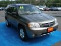 2002 Light Cypress Metallic Mazda Tribute ES V6 4WD  photo #5