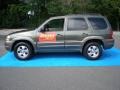 2002 Light Cypress Metallic Mazda Tribute ES V6 4WD  photo #9