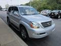 Titanium Silver Metallic - GX 470 Photo No. 6