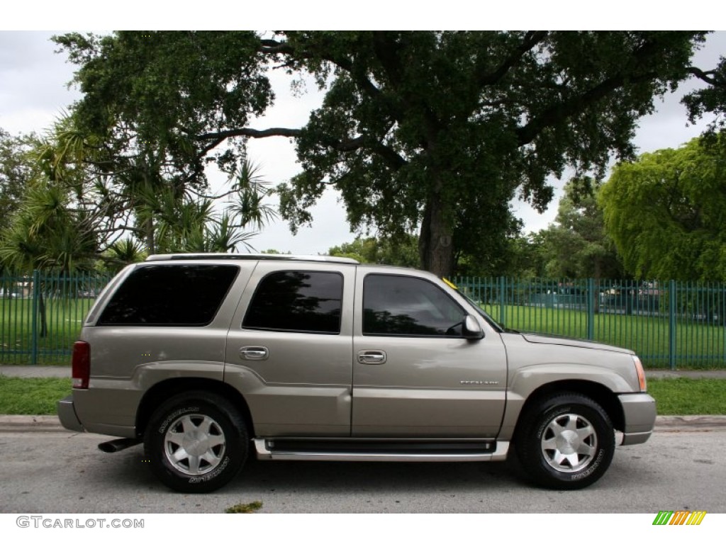 2002 Escalade  - Silver Sand / Pewter photo #11