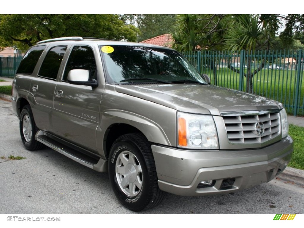 Silver Sand 2002 Cadillac Escalade Standard Escalade Model Exterior Photo #53204618