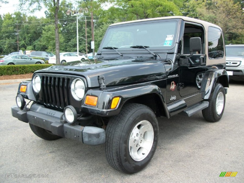 2002 Wrangler Sahara 4x4 - Black / Camel Beige/Dark Green photo #4