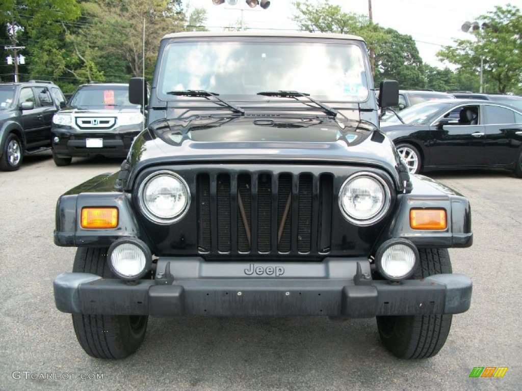 2002 Wrangler Sahara 4x4 - Black / Camel Beige/Dark Green photo #5