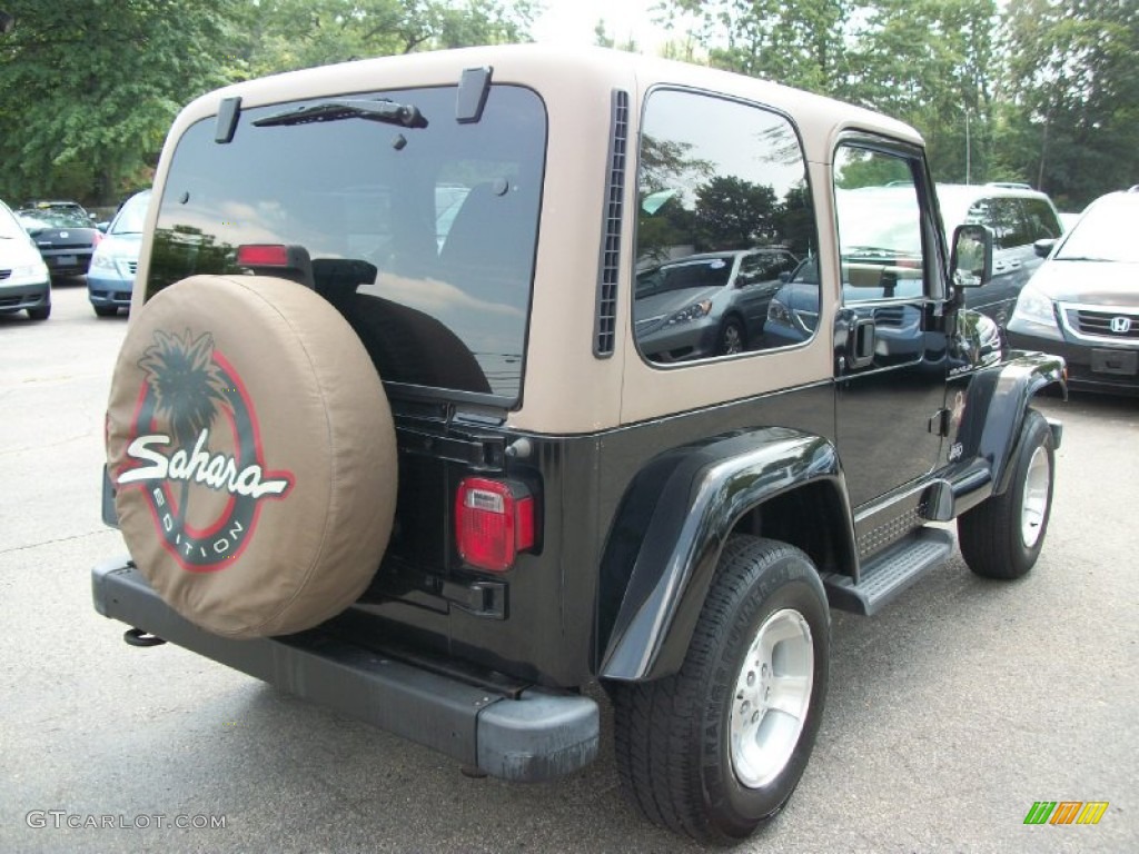 2002 Wrangler Sahara 4x4 - Black / Camel Beige/Dark Green photo #8