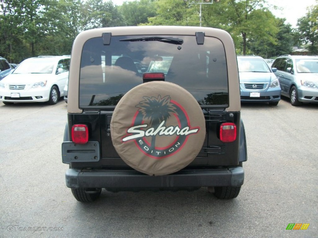 2002 Wrangler Sahara 4x4 - Black / Camel Beige/Dark Green photo #9