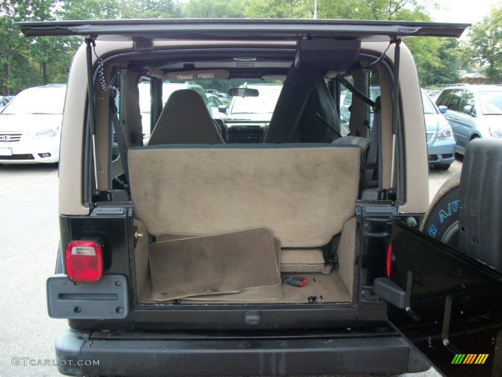 2002 Wrangler Sahara 4x4 - Black / Camel Beige/Dark Green photo #10