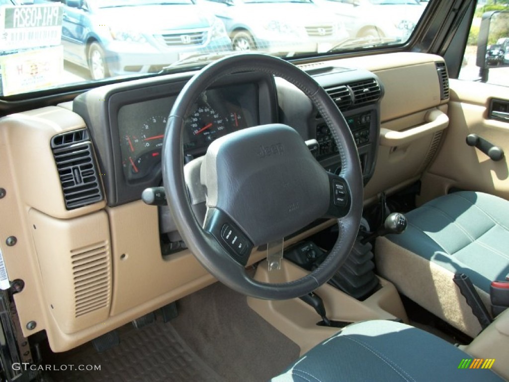 2002 Wrangler Sahara 4x4 - Black / Camel Beige/Dark Green photo #18