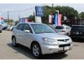 Alabaster Silver Metallic - RDX Technology Photo No. 1