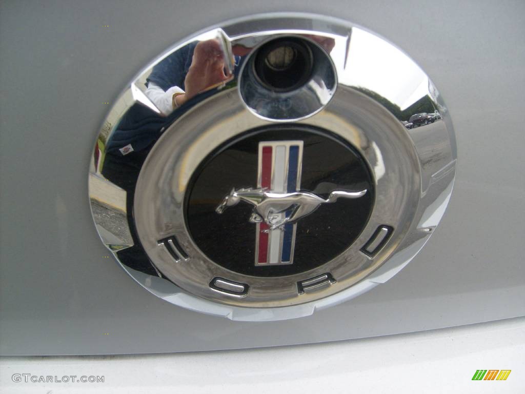 2008 Mustang V6 Premium Coupe - Brilliant Silver Metallic / Light Graphite photo #11
