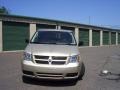 White Gold Pearl - Grand Caravan SE Photo No. 2