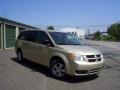 White Gold Pearl - Grand Caravan SE Photo No. 3