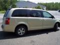 White Gold Pearl - Grand Caravan SE Photo No. 4