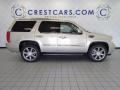 Quicksilver - Escalade AWD Photo No. 4