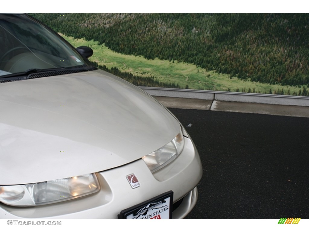 1999 S Series SC1 Coupe - Gold / Tan photo #20