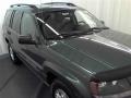 2004 Deep Beryl Green Pearl Jeep Grand Cherokee Laredo  photo #20