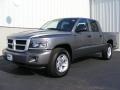 2010 Mineral Gray Metallic Dodge Dakota Big Horn Crew Cab 4x4  photo #4