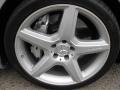 2007 Mercedes-Benz SL 55 AMG Roadster Wheel and Tire Photo
