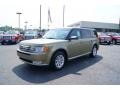 2012 Ginger Ale Metallic Ford Flex SE  photo #6