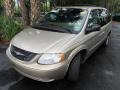 Light Almond Pearl 2003 Chrysler Town & Country LX Exterior