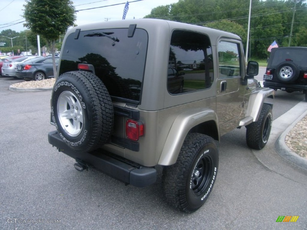 2004 Wrangler Sahara 4x4 - Light Khaki Metallic / Khaki photo #6
