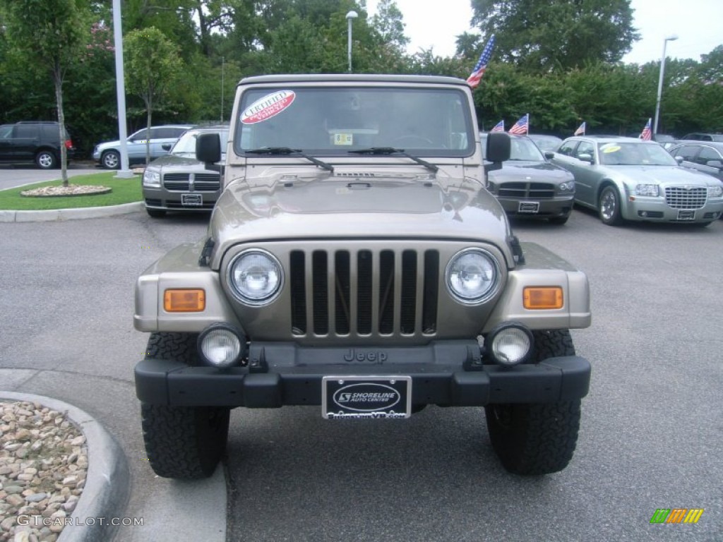2004 Wrangler Sahara 4x4 - Light Khaki Metallic / Khaki photo #9