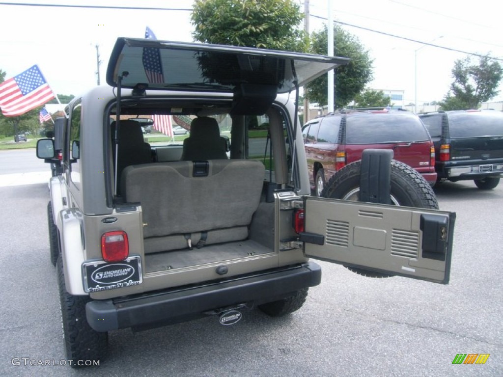 2004 Wrangler Sahara 4x4 - Light Khaki Metallic / Khaki photo #10